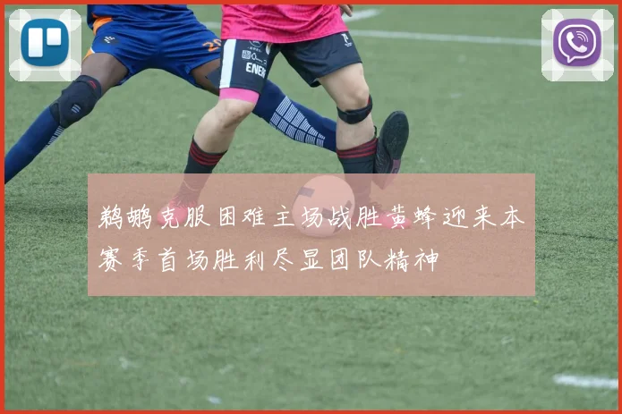 鹈鹕克服困难主场战胜黄蜂迎来本赛季首场胜利尽显团队精神