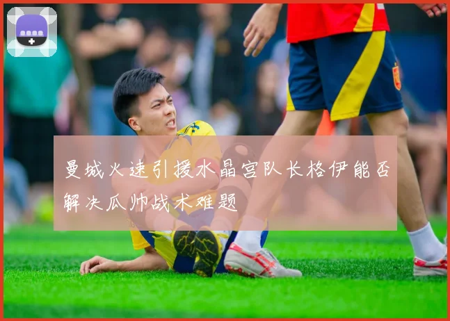 曼城火速引援水晶宫队长格伊能否解决瓜帅战术难题