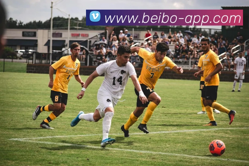 贝博体育发展历程